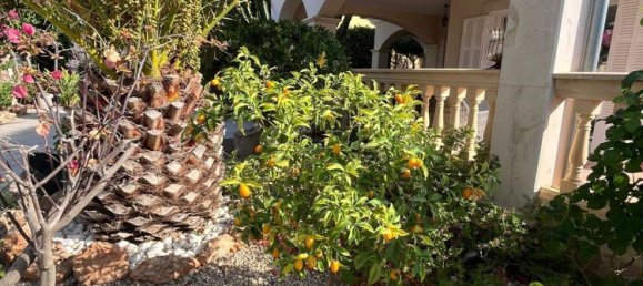 3 غرف نوم منزل في Mallorca, Spain رقم 153610 6