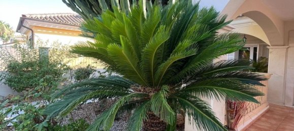 3 غرف نوم منزل في Mallorca, Spain رقم 153610 12