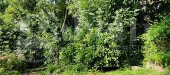 4غرفة منزل في Biella, Italy رقم 286168 6