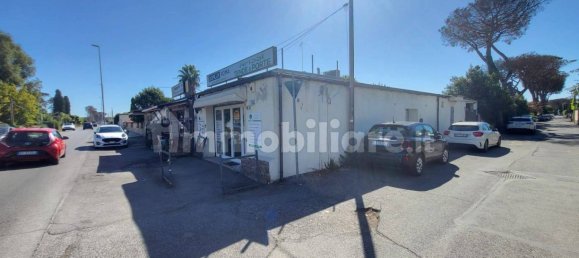 3 rooms Commercial property in Rome, Italy No. 352258 2