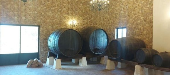 10 bedrooms House in Caldas da Rainha, Portugal No. 138015 16