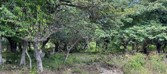  Land in Liberia, Costa Rica No. 1727 5