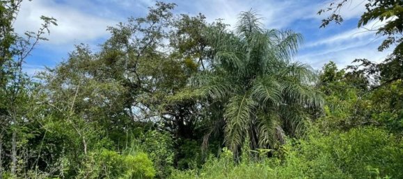  Land in Liberia, Costa Rica No. 1727 6