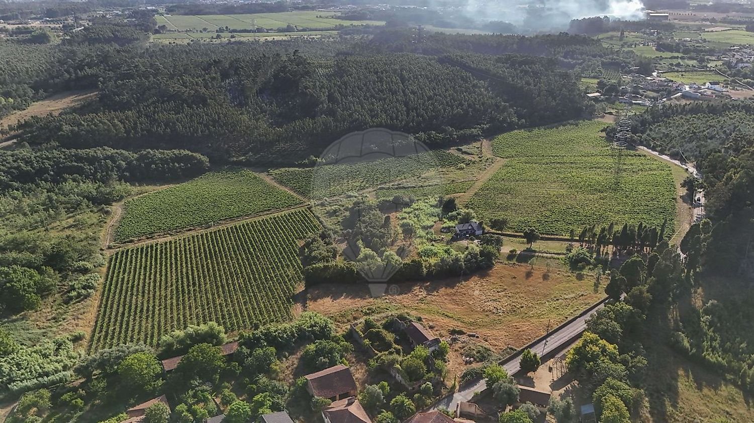  Land in Anadia, Portugal No. 269096