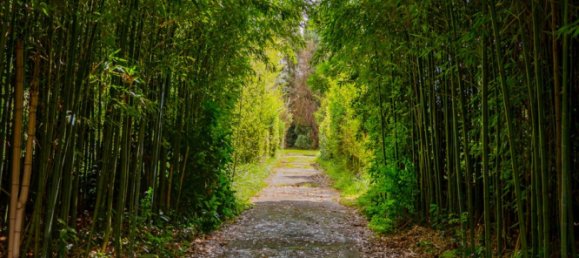 9 bedrooms House in Cantabria, Spain No. 168730 19