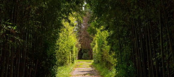 9 bedrooms House in Cantabria, Spain No. 168730 20