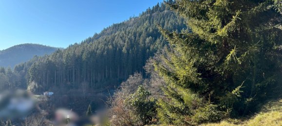  Land in Calw, Germany No. 39758 10