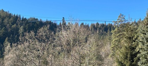  Land in Calw, Germany No. 39758 4