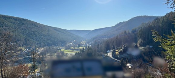  Land in Calw, Germany No. 39758 11