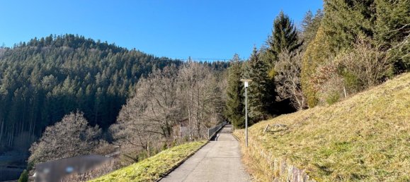  Land in Calw, Germany No. 39758 13