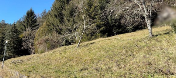  Land in Calw, Germany No. 39758 9