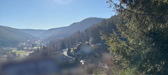  Land in Calw, Germany No. 39758 12