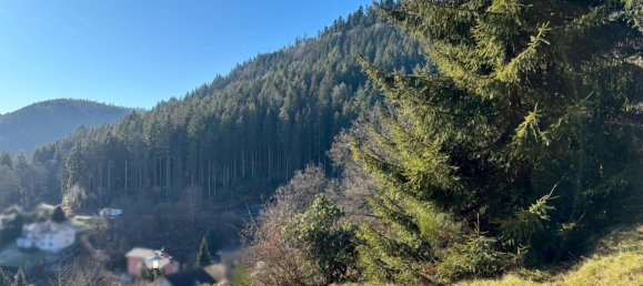  Land in Calw, Germany No. 39758 7