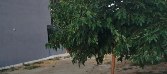 Property in Chalkidiki, Greece 240m², Nr. 2072 16