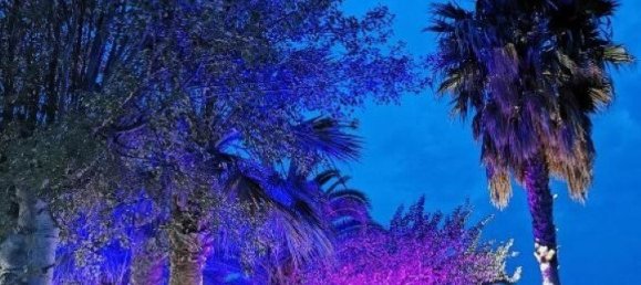 9 rooms Property in Chalkidiki, Greece No. 2072 27