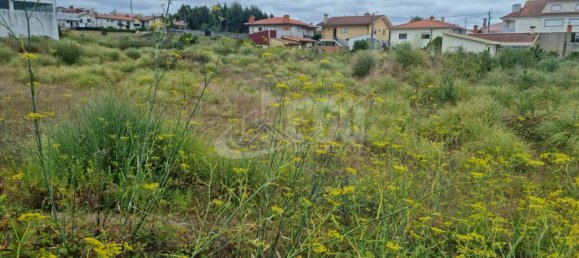 4m² Land in Esmoriz, Portugal No. 87850 3