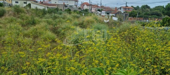4m² Land in Esmoriz, Portugal No. 87850 2