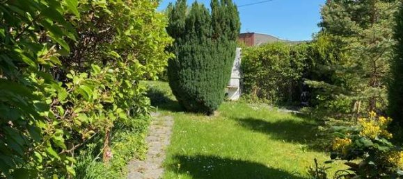 7-Zimmer Stadthaus in Zwickau, Germany, Nr. 263262 36