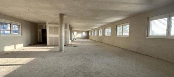 عقار تجاري في Kalsdorf bei Graz, Austria 494متر مربع رقم 213891 14