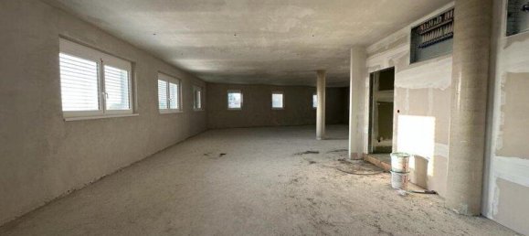 عقار تجاري في Kalsdorf bei Graz, Austria 494متر مربع رقم 213891 12