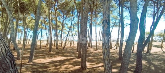 Квартира с 2 спальнями в Альба Адриатика, Италия № 259581 19