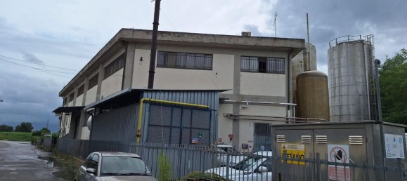 2 rooms Warehouse in Carmignano, Italy No. 92525 11