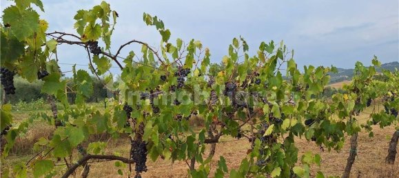 4 bedrooms House in Montespertoli, Italy No. 190451 44