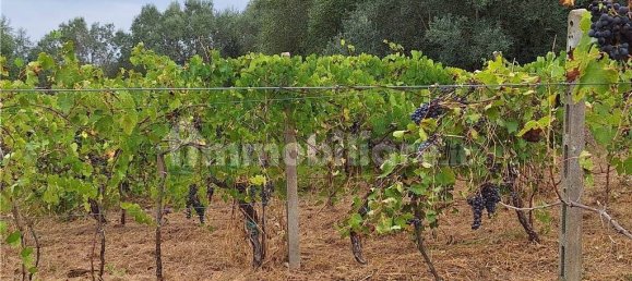 4 bedrooms House in Montespertoli, Italy No. 190451 45