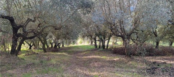 4 bedrooms House in Montespertoli, Italy No. 190451 41