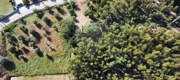 2 Schlafzimmer Haus in Igreja Nova do Sobral, Portugal, Nr. 25651 5