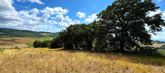 10 rooms House in Monterubbiano, Italy No. 285260 18