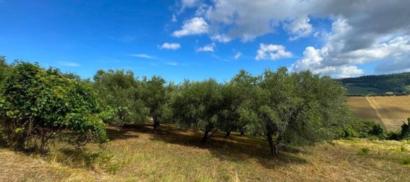 10 rooms House in Monterubbiano, Italy No. 285260 16