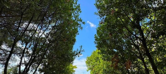 10 rooms House in Monterubbiano, Italy No. 285260 11