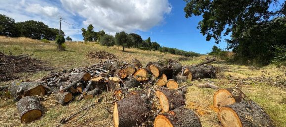 10 rooms House in Monterubbiano, Italy No. 285260 19