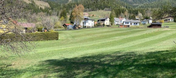  Land in Neuberg an der Murz, Austria No. 75835 3