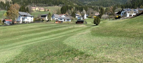  Land in Neuberg an der Murz, Austria No. 75835 4