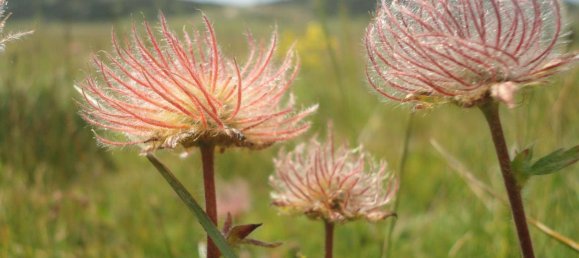  Land in Neuberg an der Murz, Austria No. 75835 13