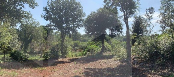 Casa de 1 dormitorio en Monopoli, Italy No. 28491 7