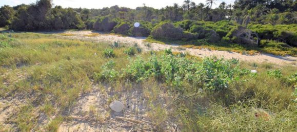 Apartamento T1 em Guardamar del Segura, Spain N.º 148128 23