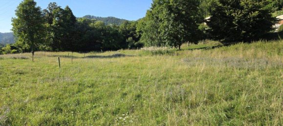 Terrain à Deutschfeistritz, Austria No. 218763 15