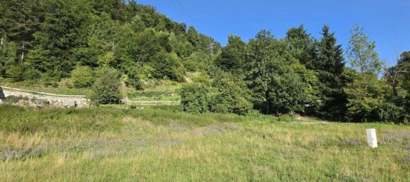 Terrain à Deutschfeistritz, Austria No. 218763 12