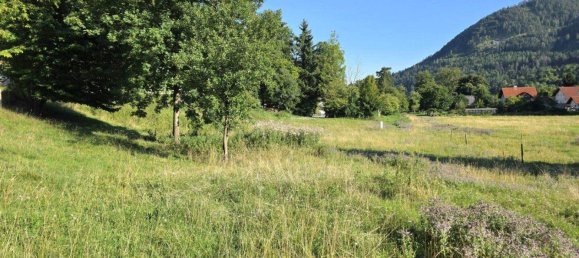 Terrain à Deutschfeistritz, Austria No. 218763 9