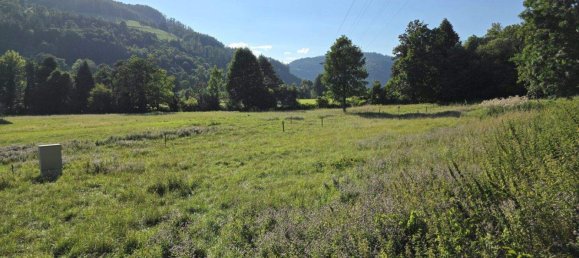 Terrain à Deutschfeistritz, Austria No. 218763 2