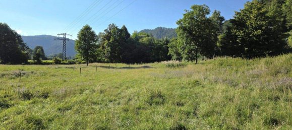 Terrain à Deutschfeistritz, Austria No. 218763 5