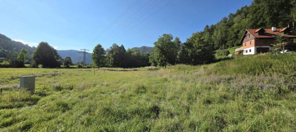 Terrain à Deutschfeistritz, Austria No. 218763 4