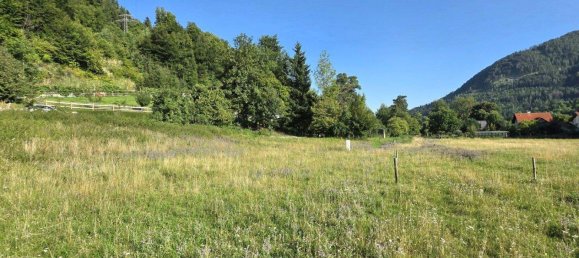 Terrain à Deutschfeistritz, Austria No. 218763 11