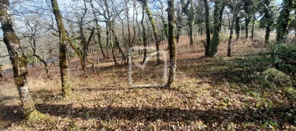 Земельный участок 3143м² в Кюзанс, Франция № 99722 3