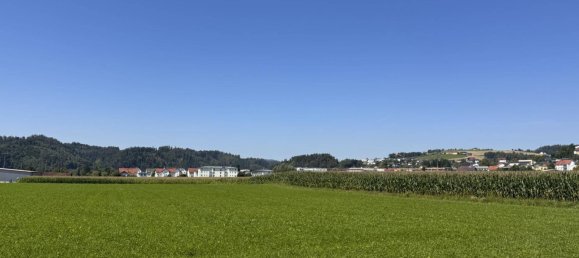 Apartamento de 2 dormitorios en Walding, Austria No. 230152 17