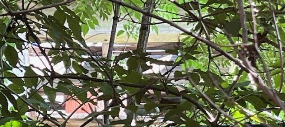 Земельный участок в Вена, Австрия № 131158 22