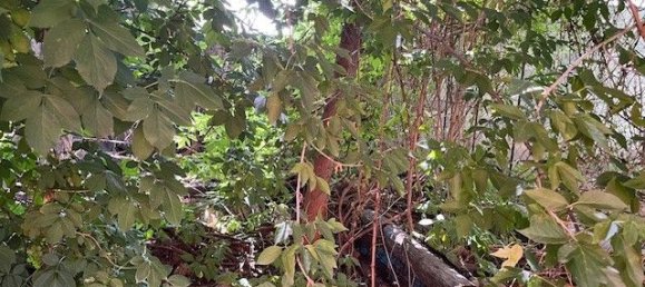 Земельный участок в Вена, Австрия № 131158 18